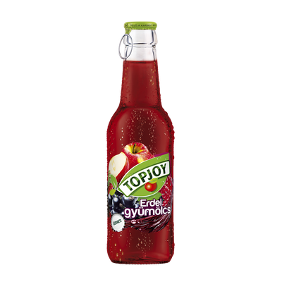 TOPJOY Üdítő 250ml ERDEI GYÜMÖLCS 25%